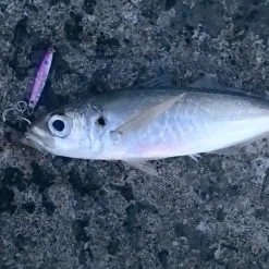 HTO Shore Jigs -Rods Sales 1407161337 10