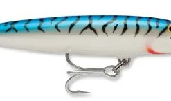 Rapala Countdown Magnum 11cm 5 Rapala Countdown Magnum 11cm -Rods Sales 1415042825 19