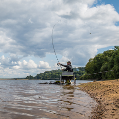 Matrix Ethos XRD Feeder Rods -Rods Sales 1cjxjf0c637680900830655594