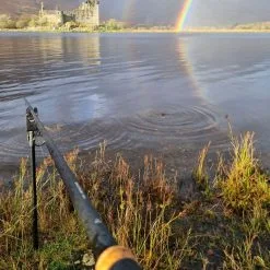 Daiwa Black Widow Deadbait Rods 9 Daiwa Black Widow Deadbait Rods -Rods Sales 1p0fx1fq638037749376916553