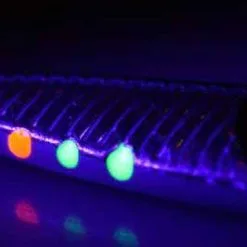 Savage Seeker ISP Lures -Rods Sales 4hh4hsif636179377356611403