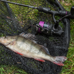 Wychwood Agitator Series 1 Reels -Rods Sales 4lngybzl637133839365795095