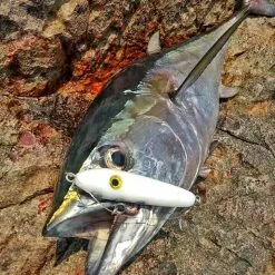 Samson Lures Enticer Sub Surface Tweak Bait 30g