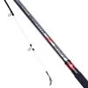Daiwa Sea Hunter Z Beachcaster