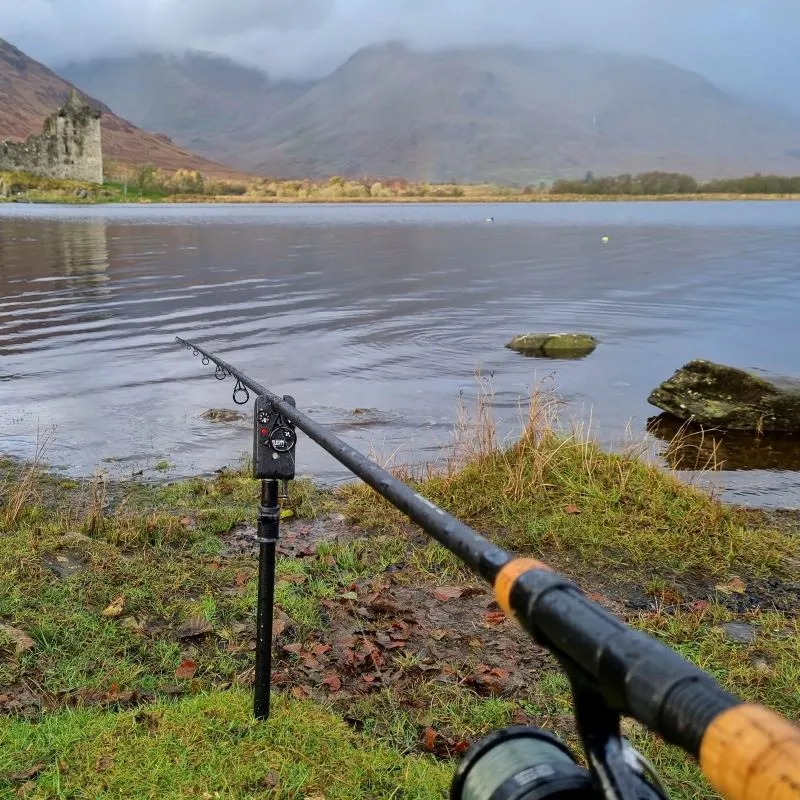 Daiwa Black Widow Deadbait Rods 4 Daiwa Black Widow Deadbait Rods - Image 4