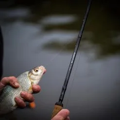 Guru Aventus Steve Ringer Light Feeder Rods -Rods Sales 5ygm33sp638106771681742688