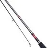 Daiwa Sea Hunter Z Spin 10ft