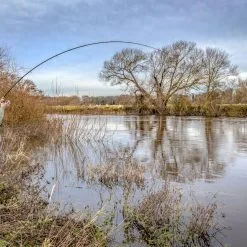 Rods Sales -Rods Sales crwaonnn636940327118061973