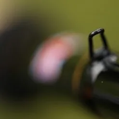 Guru Aventus Float Rods 14 Guru Aventus Float Rods -Rods Sales ejfs40bv636662303513886041