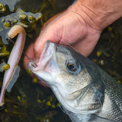 Savage Gravity Stick Kit -Rods Sales eq5w3cv4637370660572178427