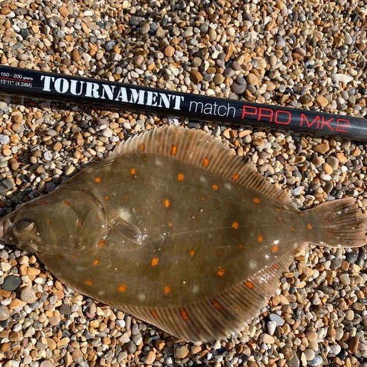 Anyfish Anywhere Tournament Match Pro MK2 Rod 13ft 11" 1 Anyfish Anywhere Tournament Match Pro MK2 Rod 13ft 11"