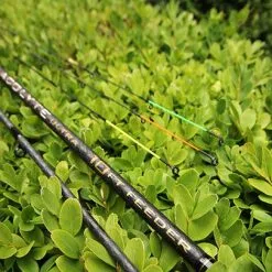 Drennan Acolyte Ultra Feeder 10ft 33 Drennan Acolyte Ultra Feeder 10ft -Rods Sales fiz2gybe635810210769006712