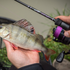 Wychwood Agitator Dropshot Rod -Rods Sales fxu314aq638152661511542144