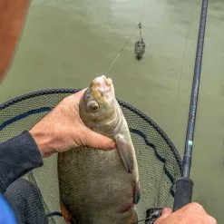 Preston Innovations Supera X Feeder Rods -Rods Sales h5lxgue1638048149956500289