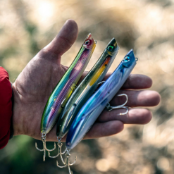 Rapala Max Rap Walk N Roll -Rods Sales ipwflfuh637441591694179223