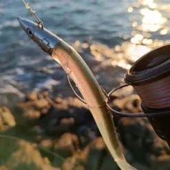 GT-Bio Kamaleo Sandeels 155 Combo -Rods Sales jec4dkpr638133440192837747