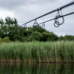 Daiwa Vertice Carp Rods 15 Daiwa Vertice Carp Rods -Rods Sales jtdburfa637835455207995648