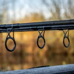 Daiwa Black Widow Ext Carp Rods -Rods Sales jw0z01v5638067831980228055