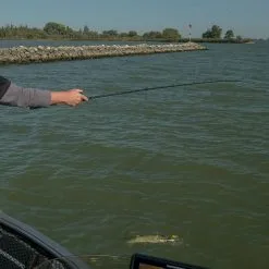 Fox Rage Terminator Versatile Casting Rods -Rods Sales kbfl2b5u637431042259289021