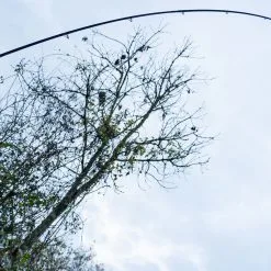 Daiwa Ninja Feeder Rods -Rods Sales khcnw4b3637485501024777987