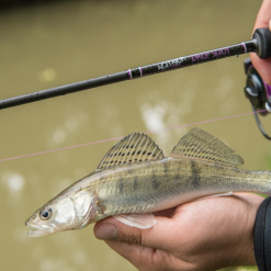 Wychwood Agitator Dropshot Rod -Rods Sales og30r1gx638152661511542144