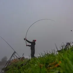 Rods Sales -Rods Sales q1pauxdw638089614475577774