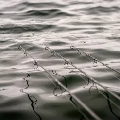 Daiwa Infinity X45 Carp Rods 15 Daiwa Infinity X45 Carp Rods -Rods Sales rbpngg5b638149893184428074