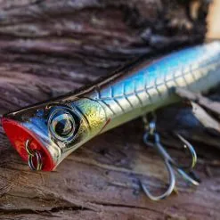 Savage Gravity Poppers -Rods Sales tfsdtvmm637840519001413756