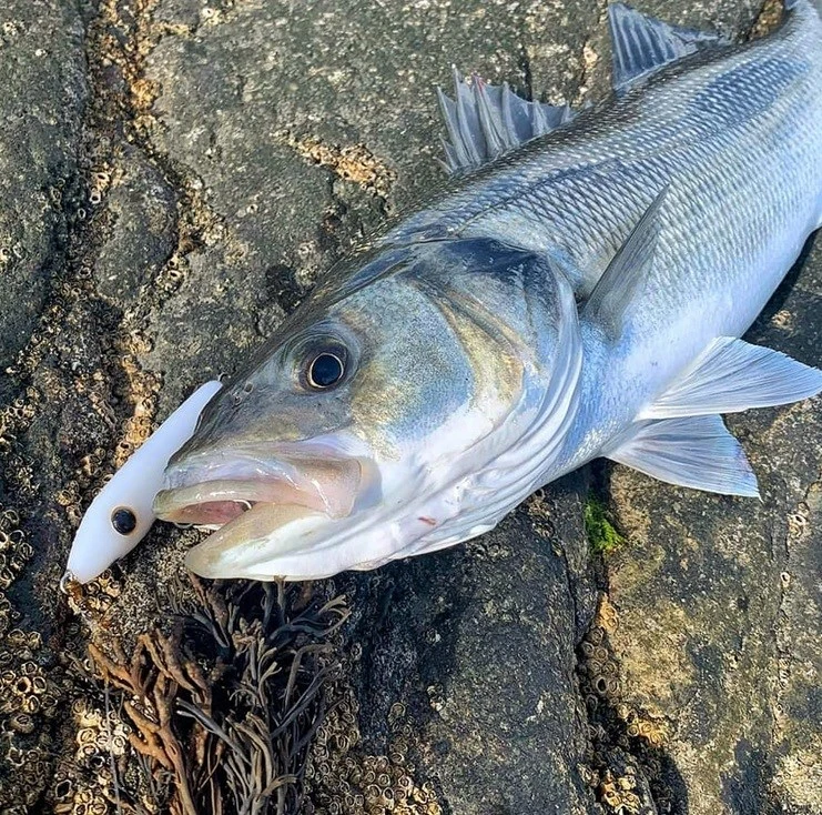 Samson Lures Tweak Baits 30g 1 Samson Lures Tweak Baits 30g