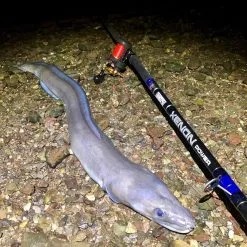 TronixPro Xenon Power Rod 13ft 8in -Rods Sales u32b5cyu636846343755425733