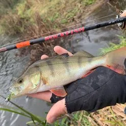 HTO Rockfish Rods -Rods Sales vommyx5q636827163658584081