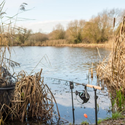 Wychwood Agitator Bait Rod 12ft 3.25lb 7 Wychwood Agitator Bait Rod 12ft 3.25lb -Rods Sales wezyats5637133844115855266