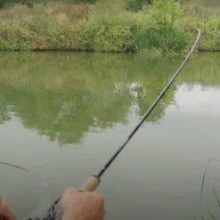 Guru Aventus Steve Ringer Light Feeder Rods -Rods Sales wvyohdml637980563261790009