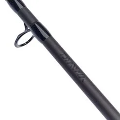 Daiwa Black Widow Specialist Twin Tip 12ft -Rods Sales wwbewo5j636794249259112314