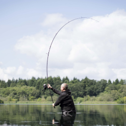 Avid Carp Traction Pro Carp Rods -Rods Sales xrppeoxn637074426031927742