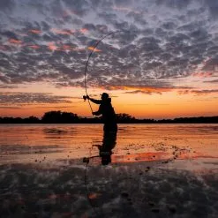 Nash X-Series Carp Rods -Rods Sales y510jabu638080074910481707