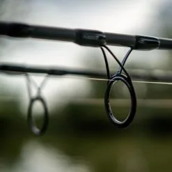 Daiwa Black Widow XT Carp Rods -Rods Sales z5uvnjrs638016981130098745