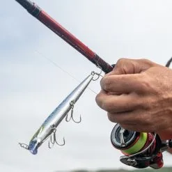 Daiwa Ninja Tele Spinning Rods 21 Daiwa Ninja Tele Spinning Rods -Rods Sales zeqd4xrc637961664685991908